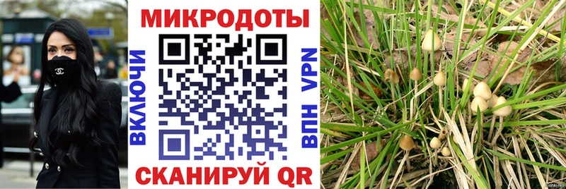 Галлюциногенные грибы ЛСД  купить наркотик  это клад  Асино 
